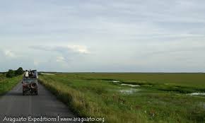 images?q=tbn:ANd9GcQVrz-dPHQFGttk2kQOrBw