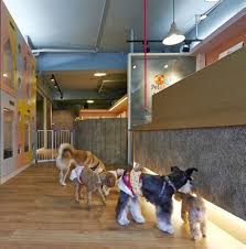Gallery Of Petaholic Hotel Sms Design 8 Pet Hotel Pet Spaces Pet Clinic