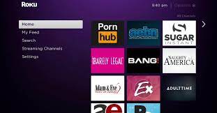 Wanna watch porn on Roku? Here is how! | Porn Dude – Blog