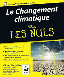 Les calottes glaciaires polaires fondent et le niveau des océans est en hausse. Le Changement Climatique Pour Les Nuls French Edition Wwf France Nouaillas Olivier Chalvin Marc 9782754038966 Amazon Com Books