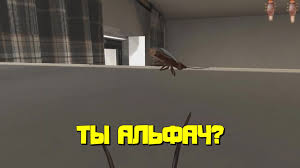 Rudy Games голые девки члены дрочево