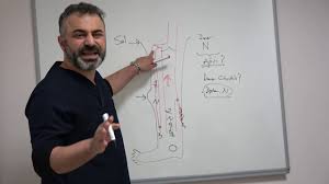Fibromiyalji hastalarında ağrı her zaman için değişik bölgelerden meydana gelmeyecektir. Prof Dr Ahmet Akgul Fibromiyalji Hastaligi