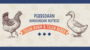 Ayam vs telur merupakan ilustrasi pengusaha dalam membangun uang yang bekerja untuk kita. Infografik Perbedaan Kandungan Gizi Telur Ayam Dan Telur Bebek Kumparan Com