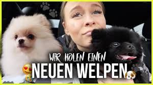 Bestes vergleichsportal für haustierfreundliche ferienhäuser mit großer auswahl in paola. Ahhhh Wir Holen Noch Einen Hund Dagi Bee Youtube