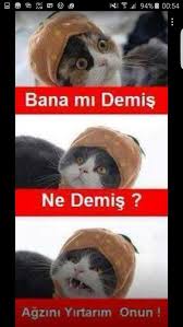 Yirtarim Agzini Komik Resimler Komik Komik Capsler
