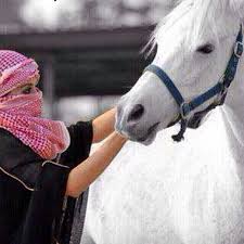 pin by mona alshamsi on arab girls self defense martial arts beautiful hijab horses