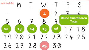 Leider kann ich meine fruchtbaren tage nicht mehr berechnen. Das Datum Fur Den Eisprung Befruchtung Einnistung Und Fruchtbare Tage Berechnen Sciodoo