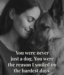 You were never just a dog. You were the reason I smiled