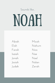 This is a ubiquitous name in the romany gypsy culture. Baby Names That Sound Like Noah Short Names Biblical Names Biblical Names Short Names Baby Names Short