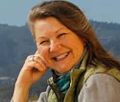 Contracts That Turn Conflict Into Creativity