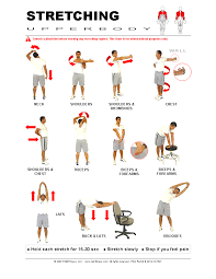 Full Body Dynamic Stretches Google Search Upper Body Stretches Upper Body Stretching For Seniors
