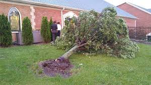 In a downburst the wind. A Downburst Can Cause Damage Equivalent To A Strong Tornado