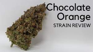 Maybe you would like to learn more about one of these? Chocolate Orange Strain Review Youtube