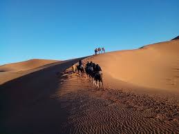 The dunes in the desert region of morocco near merzouga are spectacular; Camel Trek In Sahara Desert Morocco Do Not Miss It It Might Be The Best Moment In Your Life We Will Be Happy To Join You In This Trip Http Saha Tour Com Picture