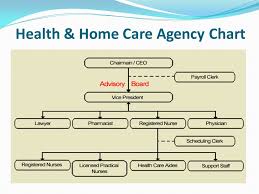 27 Unfolded Home Health Organizational Chart