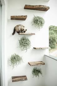 Cat Playground Google Search Cat Wall Shelves Cat Playground Outdoor Cat Climbing Wall Many cat wall shelves and perches can look out of place;