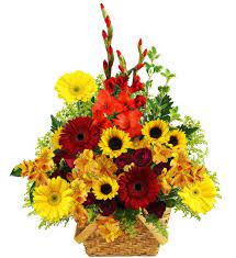 You can send even the most last minute gifts with the speedy shipping service. Applewood Floral Basket Avas Flowers