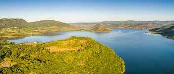 Image result for Selago lacunosa