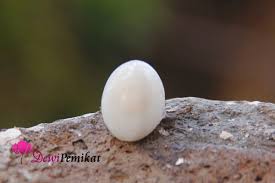 21 desember 2020 14 desember 2020 oleh anaapn10. Mustika Mani Gajah Super Ilmu Pelet Ampuh Pemikat Wanita Dan Pemikat Pria Tanpa Ritual