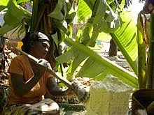 Maybe you would like to learn more about one of these? Southern Nations Nationalities And Peoples Region Wikipedia