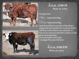 If you want to find them, then we recommend looking at the pokémon go. Production Sale We Would Like To Welcome Everyone To The First Annual Armstrong And Company Buckers Sale We Are Very Excited To Offer Some Exceptional Ppt Download