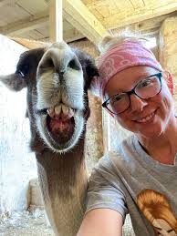 Lampasas llama food donations and purchases