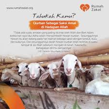 Sehingga dengan semua penjelasan di atas, sebenarnya melakukan pemotongan kuku dan kurban sebelum melakukan kurban masih belum jelas. Rumah Zakat Tahukah Kamu Qurban Sebagai Saksi Amal Di