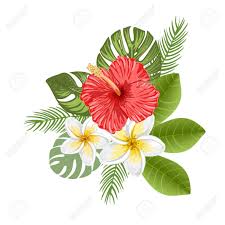 Arrangement D Hibiscus Et De Frangipaniers Fleurs En 2020 Dessin Hibiscus Fleur Tropicale Tatouages Tatouage Hibiscus