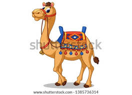 Example of different types of pack saddles. Shutterstock Puzzlepix