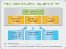 Emf Introduction To The World Health Organization