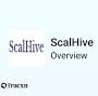 ScalHive from tracxn.com