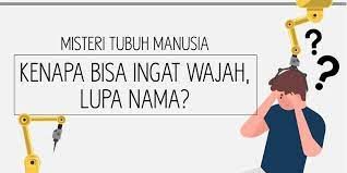 Although research has allowed us to decipher lots of mysteries and some of them make total sense (it's not by chance that we sneeze, yawn, or feel. Infografik Misteri Tubuh Manusia Kenapa Bisa Ingat Wajah Lupa Nama