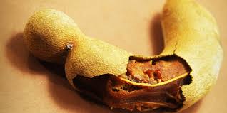 Le Noyau D Avocat N Est Pas Comestible