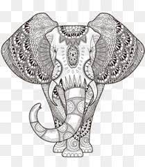 1 png transparent background file sized 8x11 inches. Colouring Pages Png And Colouring Pages Transparent Clipart Free Download Cleanpng Kisspng