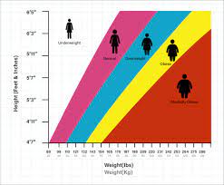 There are other subcategories, but these three represent the most important groups. India Bmi Calculator For Men Women Bmi Chart Truweight