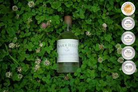 The bottle of our opening gin is a distinctive green, and that's very apt, because this is the yoda of the dry gin world. The World S Best Craft Gins To Try Right Now