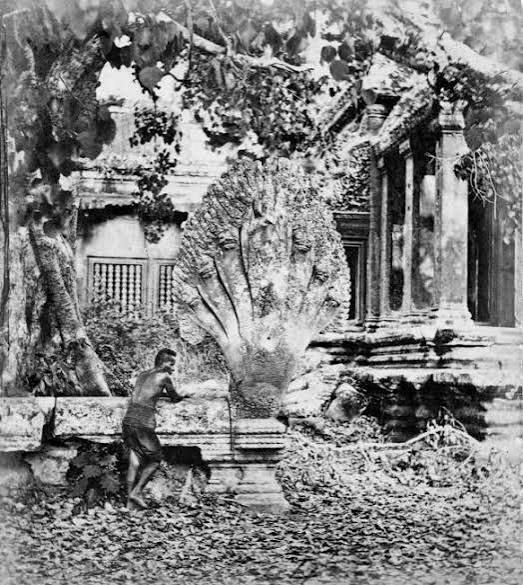 The First Photographs of the Temples of Angkor