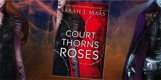 She quickly followed it up with a series of prequel novellas that were later collected in the assassin's blade. A Court Of Thorns And Roses By Sarah J Maas Book Review The Children S Book Review