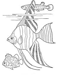Coloring book pages for kids and adults. Pin On Free Printables