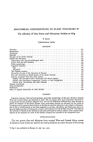 Image result for Afrostyrax kamerunensis