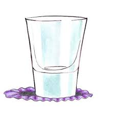 Hot Damn Drink Recipes Shots Shooters