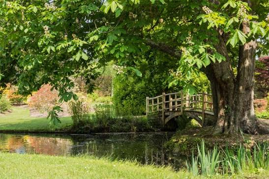 The best attractions in the New Forest - New Forest Living