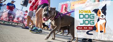 Find waterloo, iowa animal shelters, puppy dog and cat shelters, pet adoption centers, dog pounds, and humane societies. Animal Rescue League Of Iowa Inc