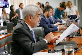 Renan bolsonaro, o filho zero quatro do presidente da república, estreou como empreendedor em brasília. Humberto Costa Pede Que Mp Investigue Filho De Bolsonaro Por Crime De Peculato Blog Da Folha Folha Pe