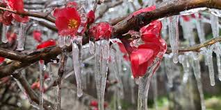 No sábado, em alguns pontos, a precipitação pode ter uma redução de volume, mas ainda chove no sul no brasil. Madrugada Tem Geadas E Pista Congelada No Sul Do Brasil Veja Imagens Do Frio
