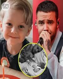 Liam Payne's fortune left to his only son has been revealed, leaving many  in shock. The boy will be raised by a member of the group One Direction  until he is 18