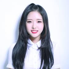 Olivia Hye Loopd Wiki Fandom 손혜주) on november 13, 2001 in uijeongbu, gyeonggi province, south korea. olivia hye loopd wiki fandom