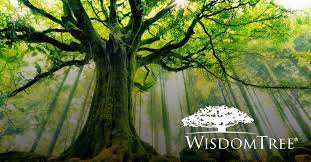 WisdomTree Connect™ Now Offers 13 Tokenized Funds Across Ethereum,  Arbitrum, Avalanche, Base and Optimism :: WisdomTree, Inc. (WT)