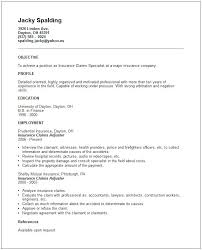 Some Resume Samples Some Resume Samples Example For Resume Free ...