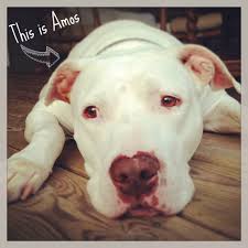 We did not find results for: Coping With The Loss Of A Pet